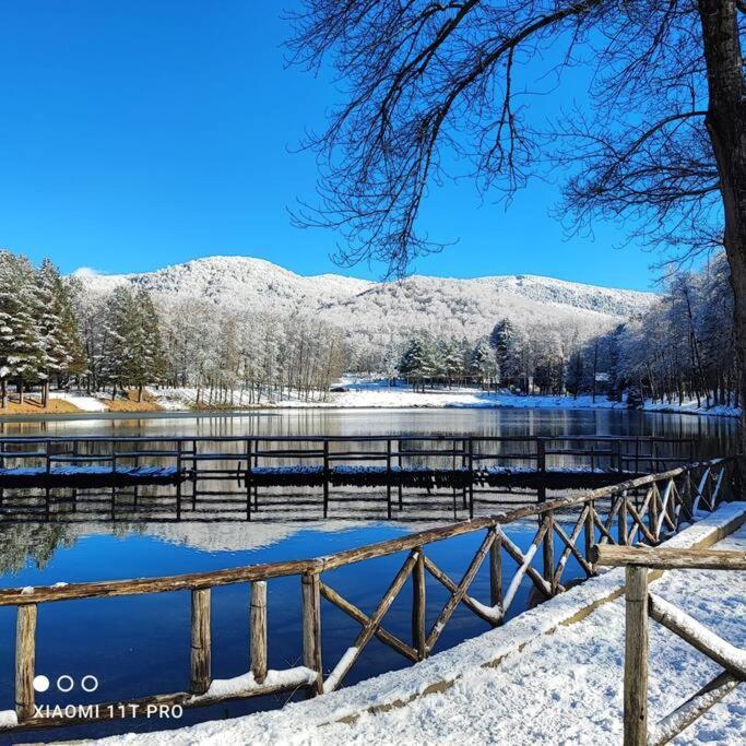 B&B Ammari. Appartamento - Bilocale. Gallico ภายนอก รูปภาพ